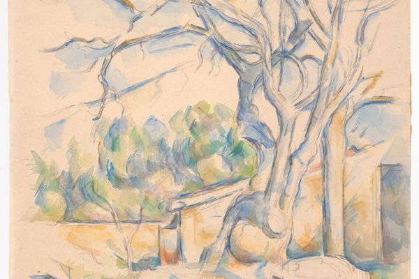 Pistachio Tree at Chateau Noir 