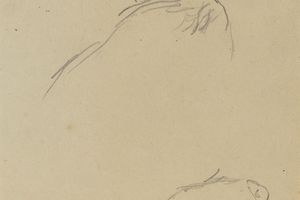 Two Cow's Heads （verso) 