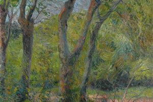Les Saules 