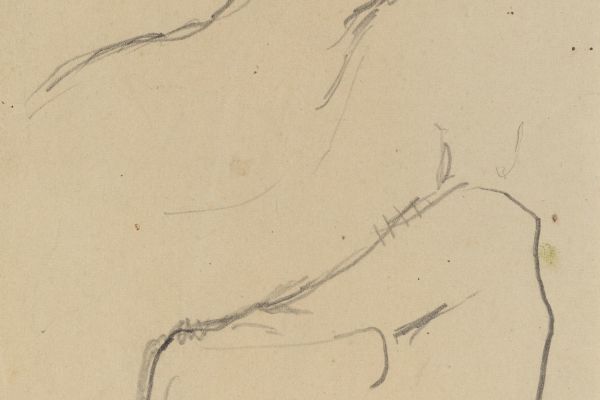 Studies of a Cow （verso) 