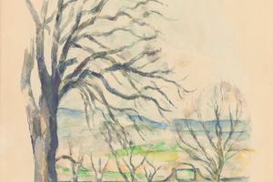 Arbre Dépouillé Au Jas De Bouffan