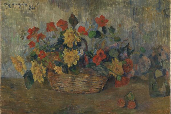 Flowers still life 