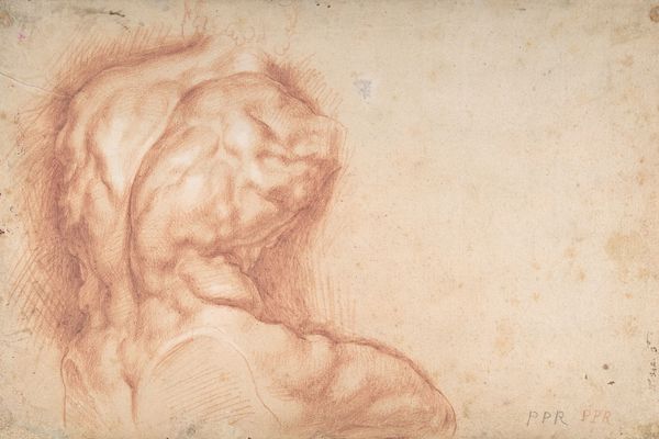 Study of the Torso Belvedere 