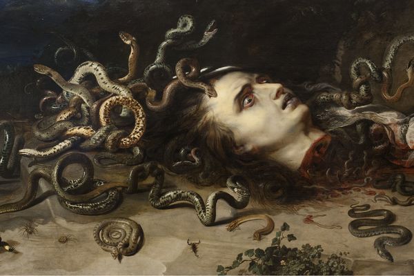 Head of Medusa 