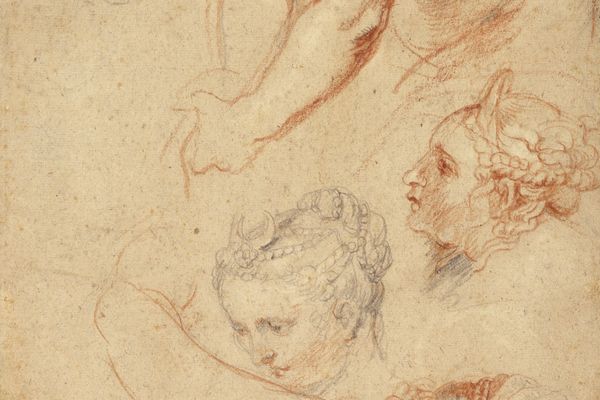 Studies of Women 