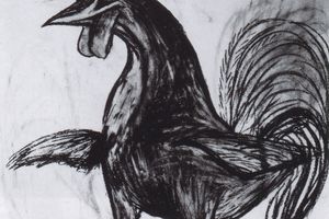 Young cock