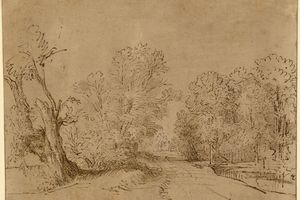A Wooded Road 