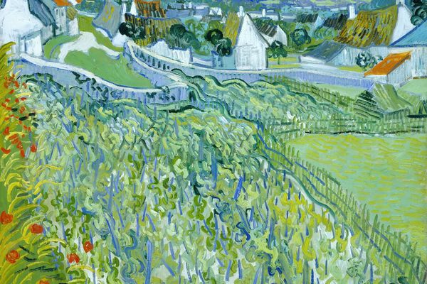 Vineyards with a View of Auvers