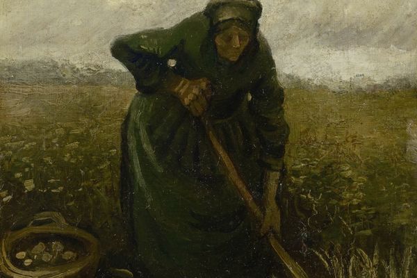 Woman Lifting Potatoes