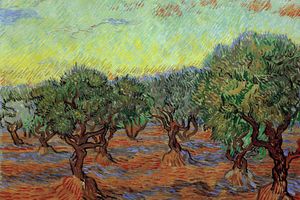 Olive Grove5
