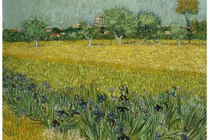 Field with Flowers near Arles 1888