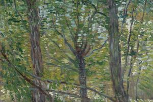 Trees
