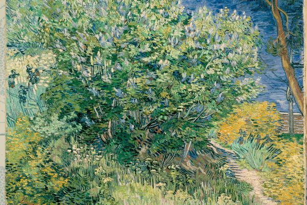 Vincent van - Lilac Bush