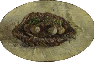 Basket of Hyacinth Bulbs