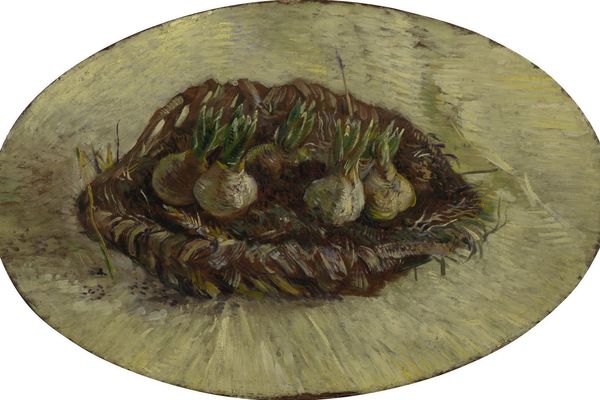 Basket of Hyacinth Bulbs