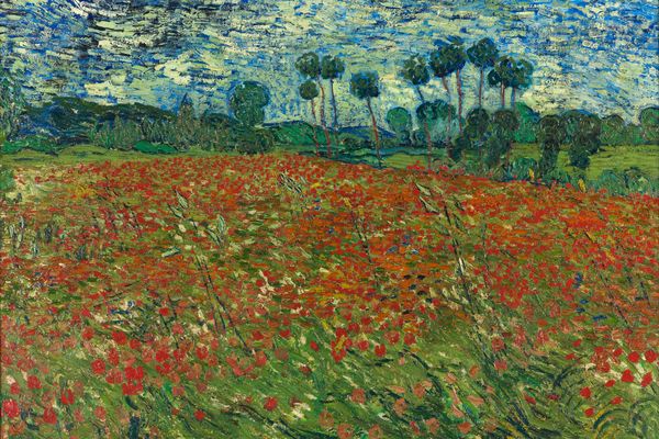 Poppy field June 1890