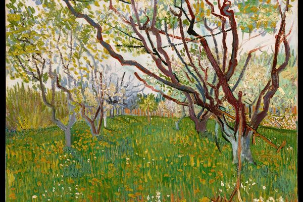 The Flowering Orchard