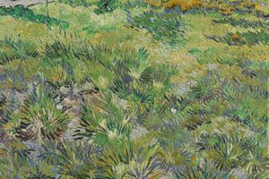 Long Grass with Butterflies