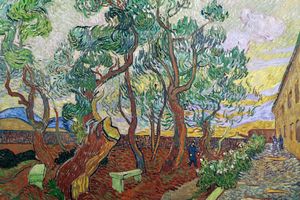 The Garden of Saint-Paul Hospital4