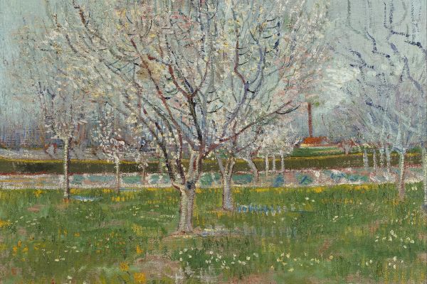 Orchard in Blossom2