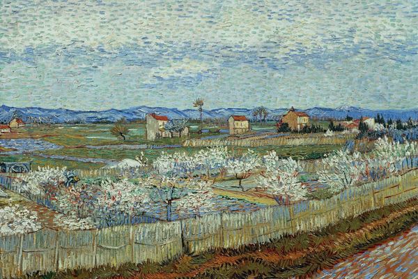 La Crau with Peach Trees in Bloom