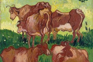 Cows (after Jorsaens)