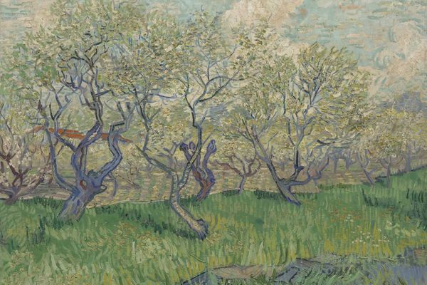 Orchard in Blossom