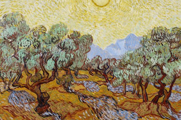 Olive Trees with Yellow Sky and Sun