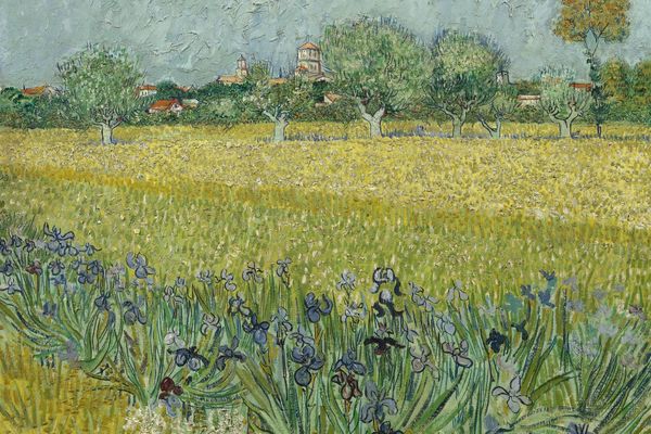 View of Arles with Irises in the Foreground