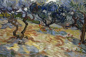 Olive Trees