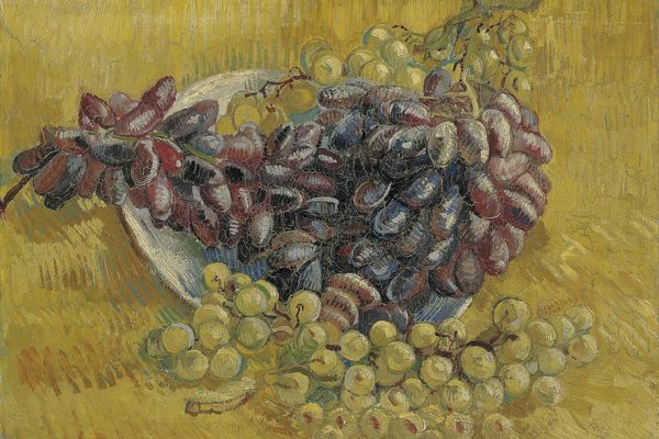 Still Life with Grapes