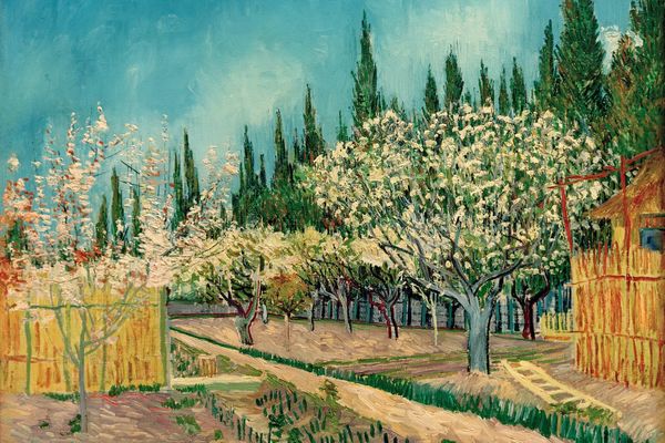 Orchard in Blossom, Bordered by Cypresses