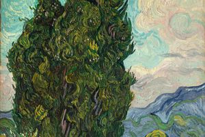 Cypresses