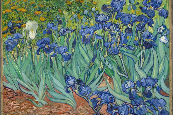 Irises 1889