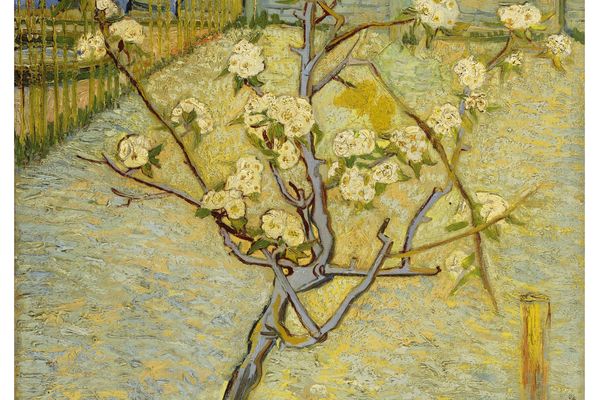 Small pear tree in blossom (April 1888 - 1888)