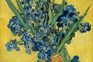 Irises (May 1890 - 1890)