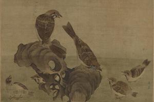 麻雀育雏图页