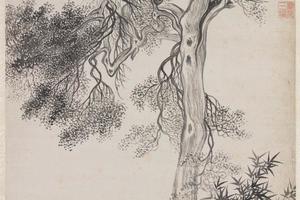 禹穴古柏轴