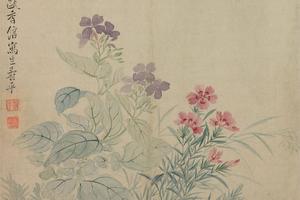 花卉图册