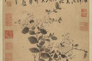 茉莉图