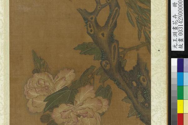 花卉册-芙蓉