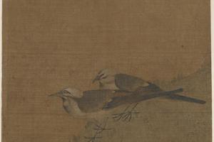 双鹡鸰儿