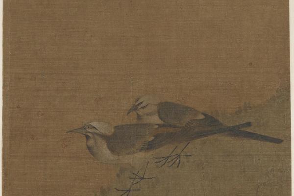 双鹡鸰儿