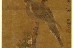 斑鸠图