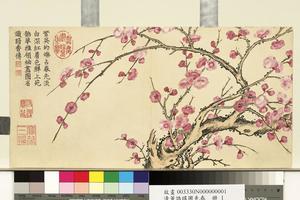 瑶圃先春册　红梅花