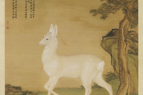 瑞麅轴
