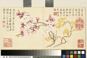 花卉册　红黄杏花