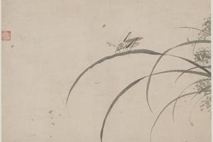 花蝶草虫册