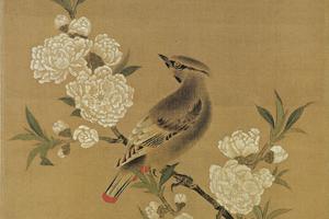 桃花山鸟图