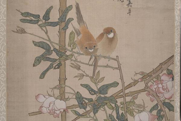 花鸟册页